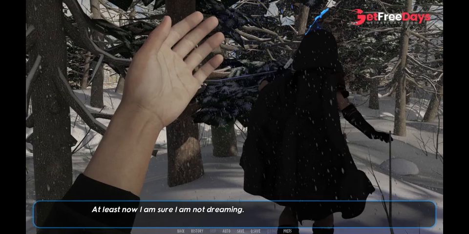 Snowstorm Gameplay