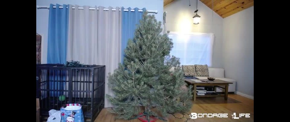 free adult video 24 Bondage Life – Christmas With Greyhound – Rachel Greyhound, slave fetish on fetish porn 