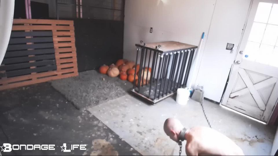 Chicken Cleanup 12.14.18 Sex Clip Video Porn Download Mp4