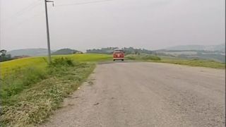 free online video 22 Psychedelic Girl, animal fetish porn on group sex porn 