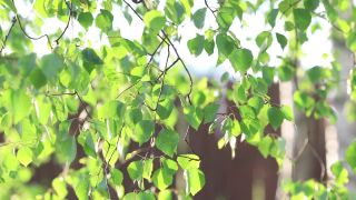 online adult video 2 bdsm sperm Delight in Nature, bdsm porn on blonde porn