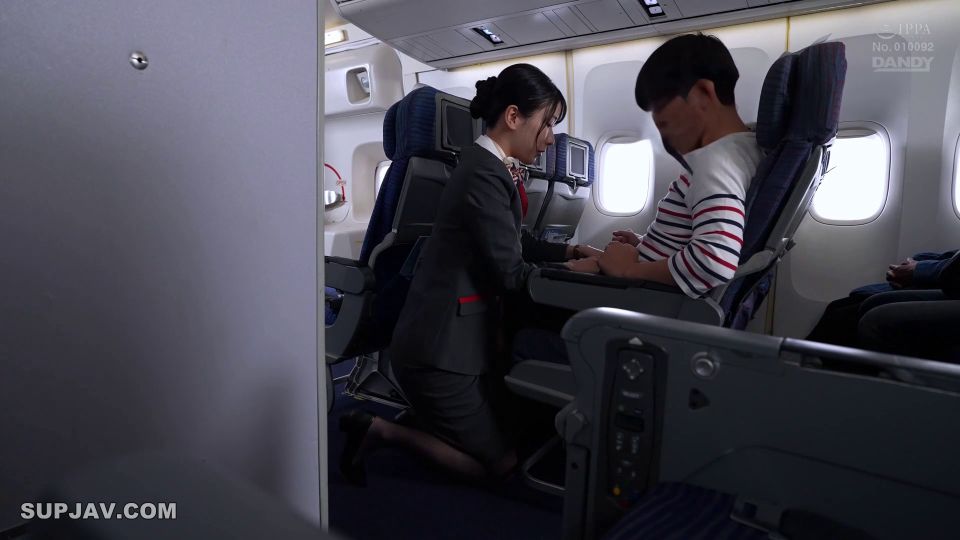 ReducingMosaic DANDY-968 うぶな男の子に冗談半分の挑発パンチラしたら超暴走！ 仕方なく射精させてあげても勃起は治まらず追いかけられて機内の死角でハメられまくる美人CA