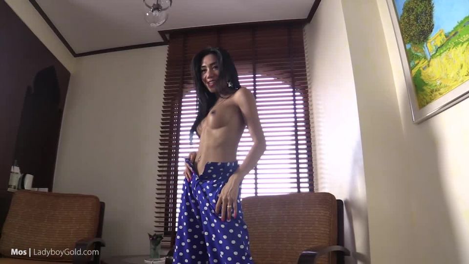 men anal shemale porn | Mos - Polka Dot Pants Suit Barebacking [LadyboyGold / HD / 720p] | anal